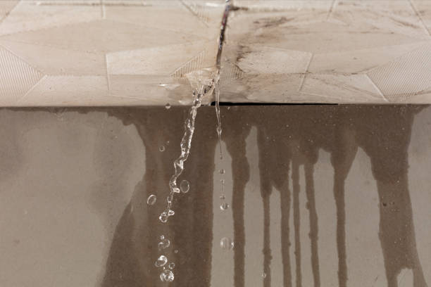 Professional Water Damage Repair technician working in East Hanover, NJ